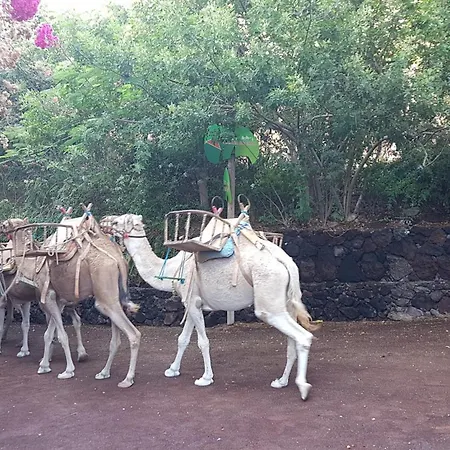 Appartement Playa Paraiso-apartment 4