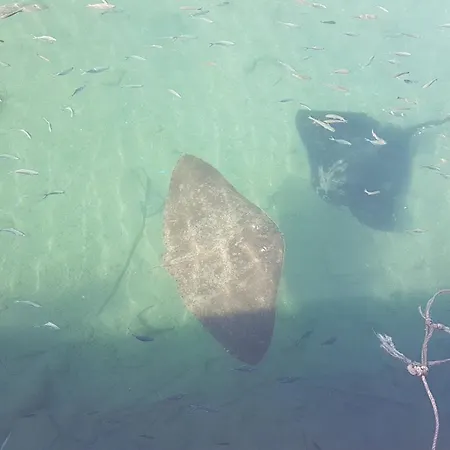 Playa Paraiso-apartment 4