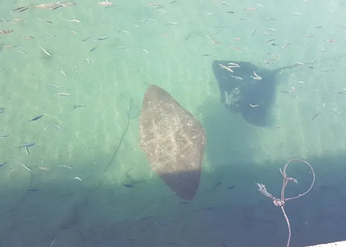 Playa Paraiso-apartment 4