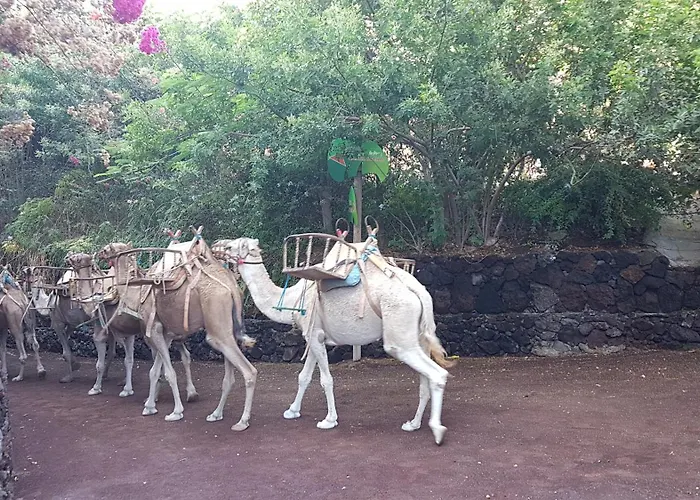 Apartman Playa Paraiso-apartment 4